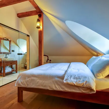 Boutique Pod Barborou Pensionat Kutná Hora